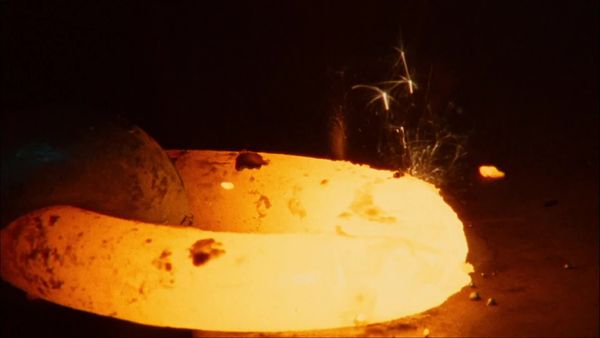 Tecnología natural - El poder de la vida