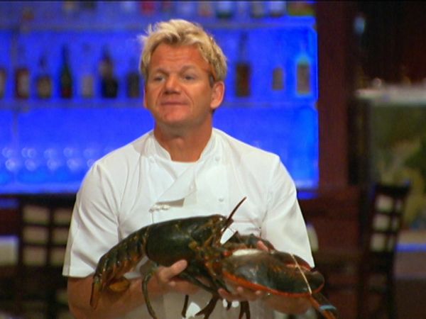 Hell's Kitchen - 7 Chefs