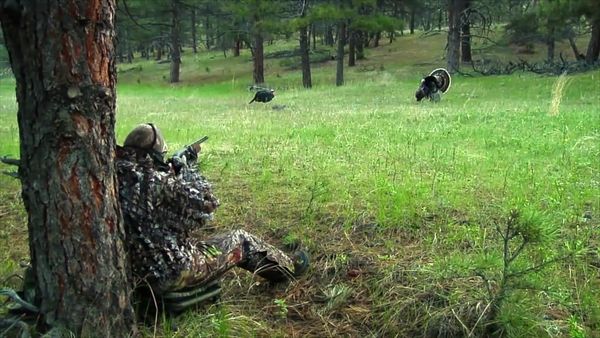 American Hunter - Sacred Animals of the Hunt