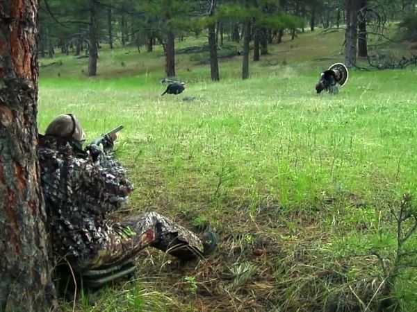 American Hunter - Sacred Animals of the Hunt