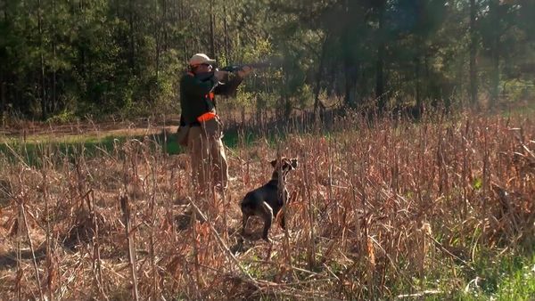 American Hunter - Psychology and Spirituality of the Hunter