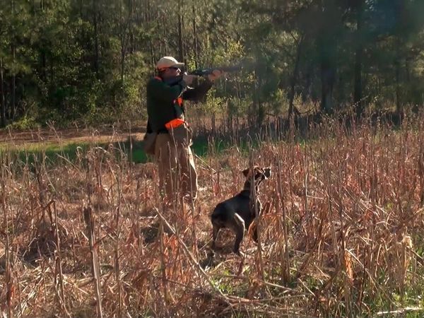 American Hunter - Psychology and Spirituality of the Hunter
