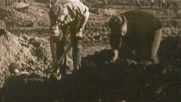 Warbirds Over The Trenches - Target for Tonight