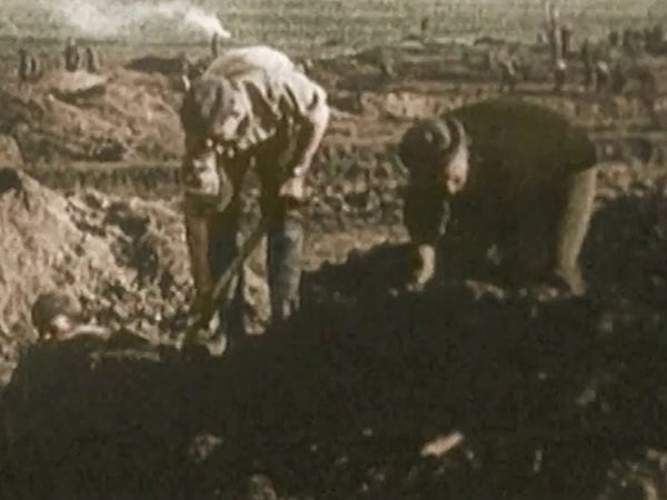 Warbirds Over The Trenches - Target for Tonight