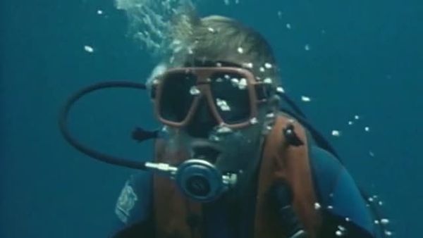 Sharks - Danger In the Sea - Return to Shark Reef