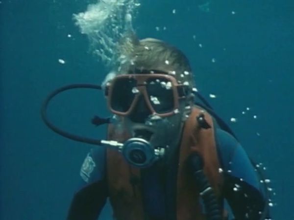 Sharks - Danger In the Sea - Return to Shark Reef