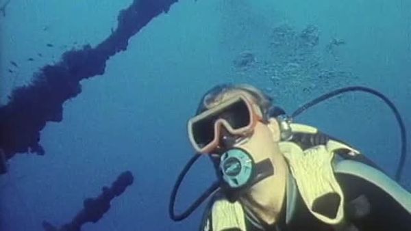 Sharks - Danger In the Sea - Of Shipwrecks and Sharks