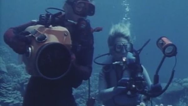 Sharks - Danger In the Sea - Sharks! Part1