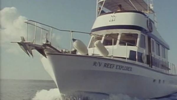 Sharks - Danger In the Sea - The Treasure of Shark Lagoon