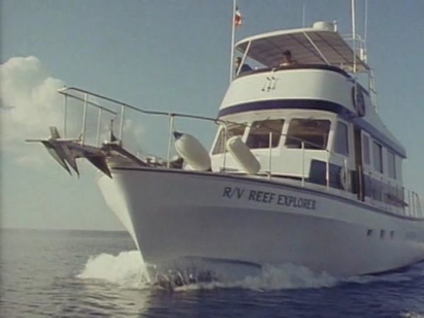 Sharks - Danger In the Sea - The Treasure of Shark Lagoon