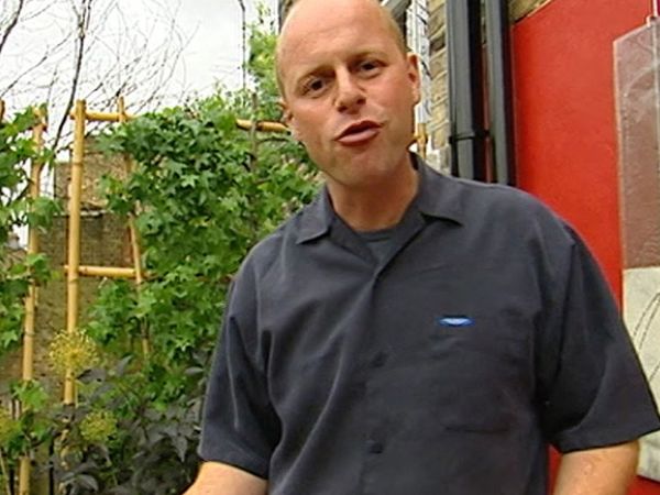 Small Town Gardens - Highbury