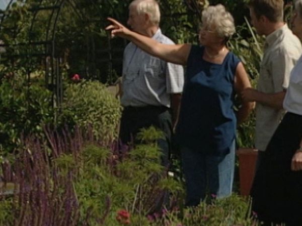 The Flying Gardener - Norfolk