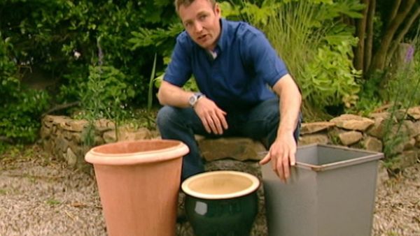 The Flying Gardener - Cornwall