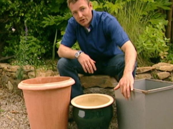 The Flying Gardener - Cornwall