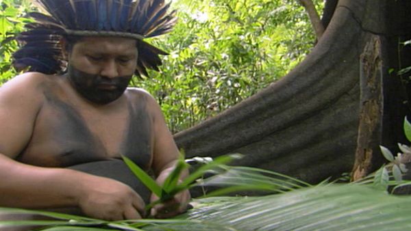 Around the World in 80 Gardens - South America