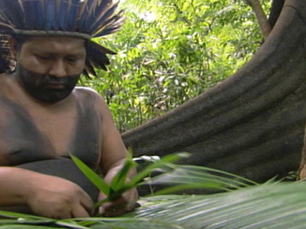 Around the World in 80 Gardens - South America