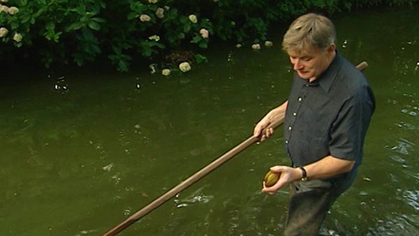 The Curious Gardeners - Norfolk