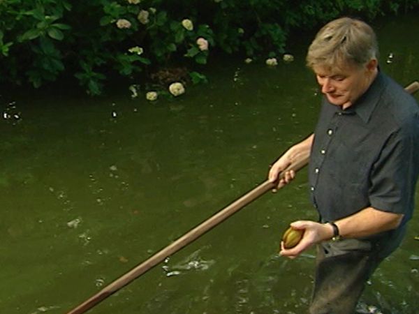 The Curious Gardeners - Norfolk