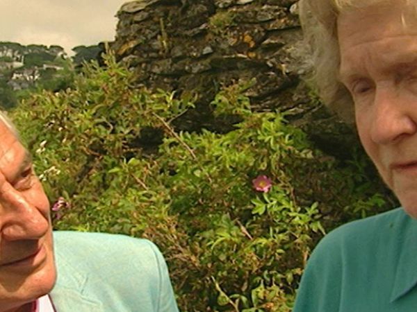 The Curious Gardeners - Devon and Ornwall