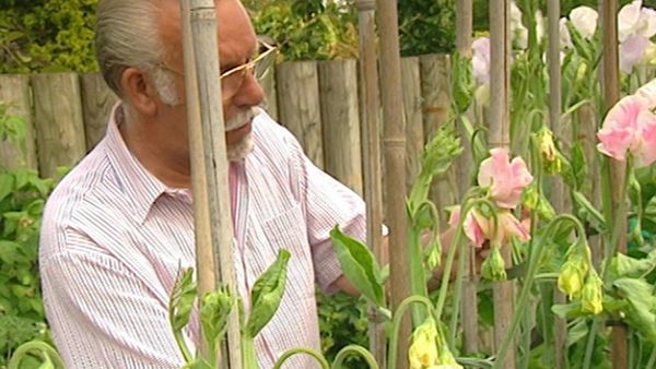 The Curious Gardeners - Yorkshire