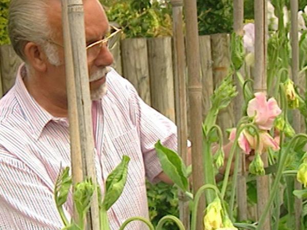 The Curious Gardeners - Yorkshire