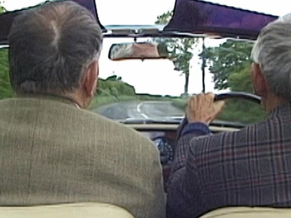 The Curious Gardeners - Heart of England
