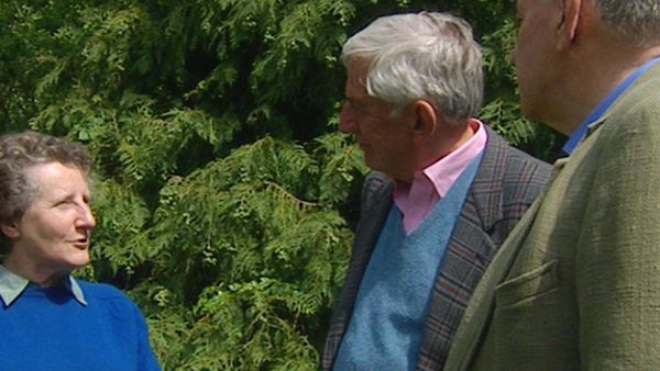 The Curious Gardeners - Buckinghamshire