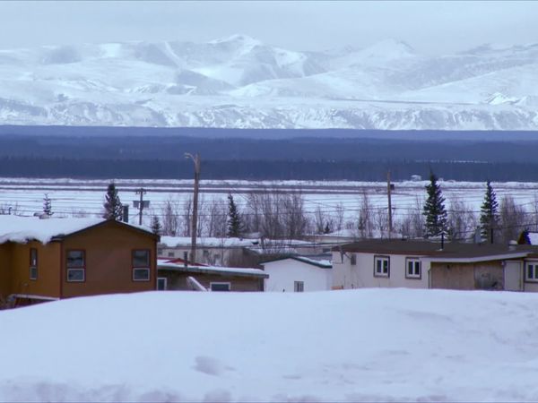 Ice Pilots NWT - Frozen Solid