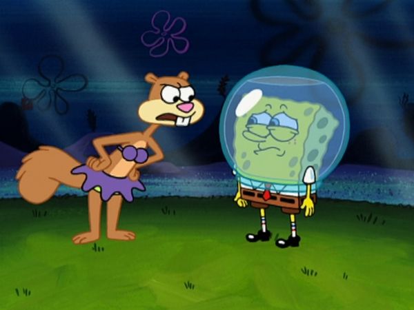 Bob Esponja Calça Quadrada - Natal quem?