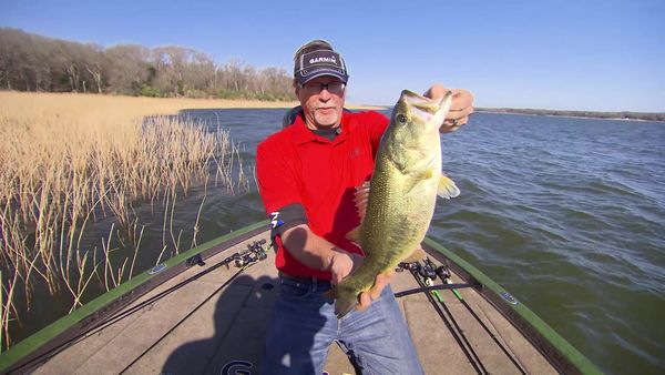 Fisherman's Handbook - Bass Fishing in the Wind