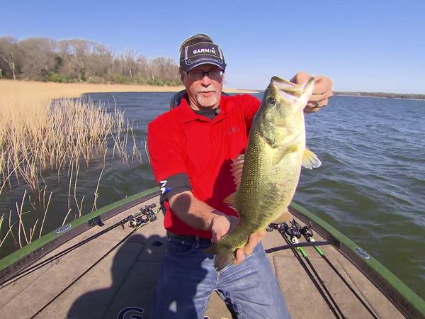 Fisherman's Handbook - Bass Fishing in the Wind