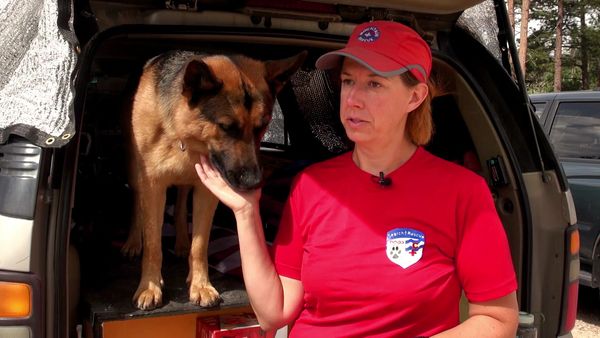 Dogs On The Job - The Nose Will Get the Job Done