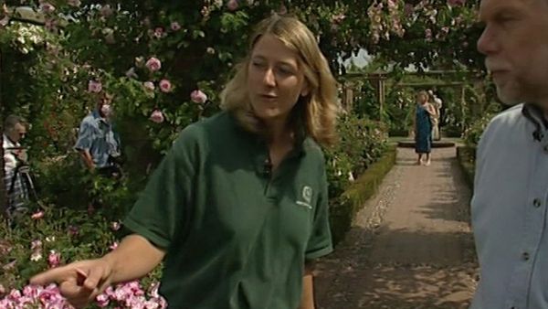 Small Town Gardens - Ripon