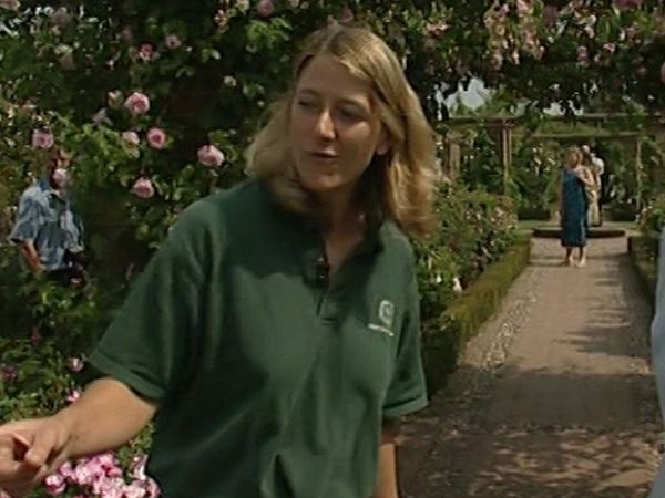Small Town Gardens - Ripon