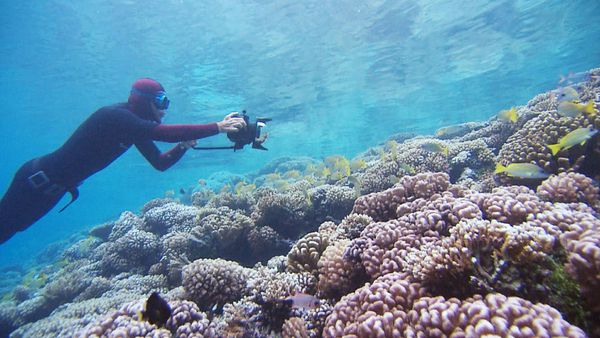 Adventure Ocean Quest - Special - Adventure Ocean Quest - Special