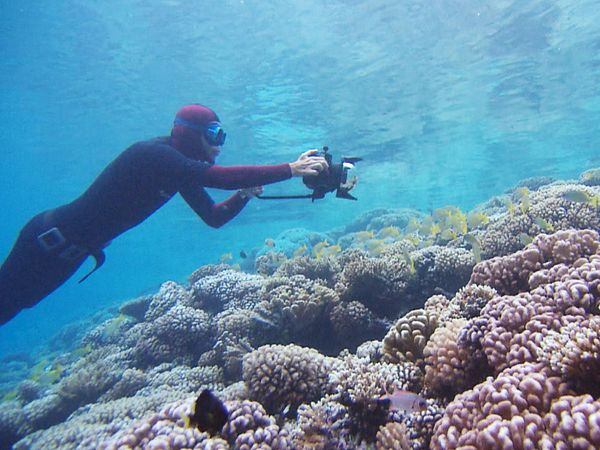Adventure Ocean Quest - Special - Adventure Ocean Quest - Special