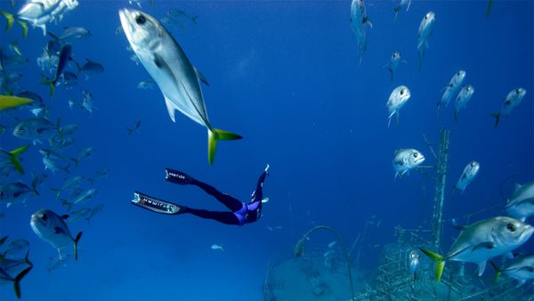 Adventure Ocean Quest - Fragile Mediterranean