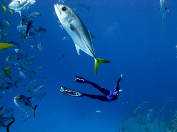 Adventure Ocean Quest - Fragile Mediterranean
