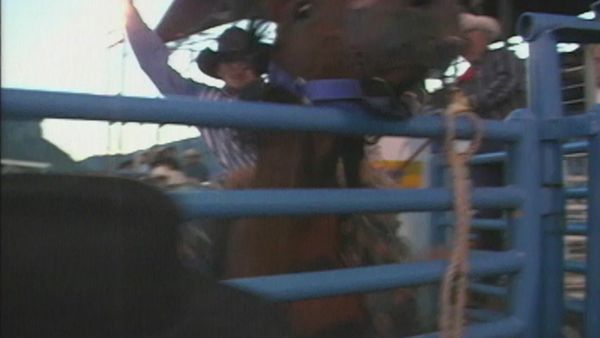 I Witness - Big Codeo Rodeo - Big Codeo Rode Part 1