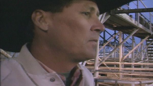 I Witness - Big Codeo Rodeo - Big Codeo Rode Part 5