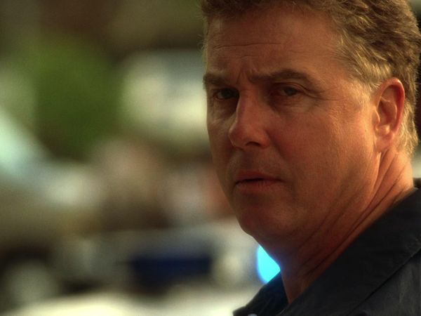 CSI en español - ¿Quién y qué?
