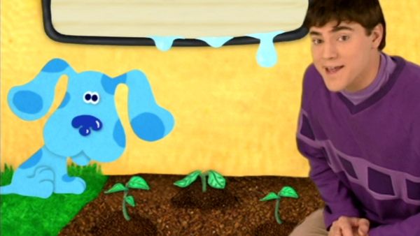 As Pistas de Blue - Deduções de Blue