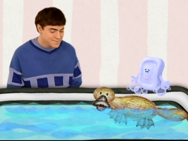 As Pistas de Blue - Animais na nossa casa?