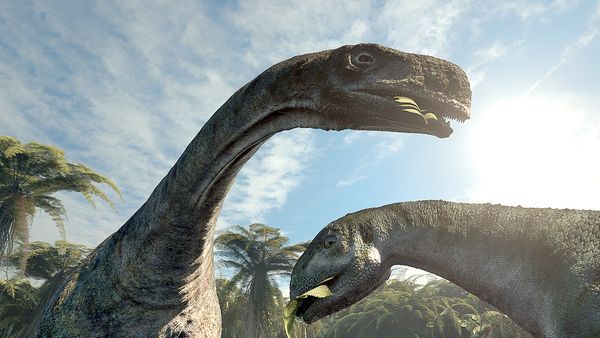 300 Million Years - The Big Crash