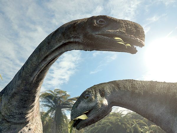 300 Million Years - The Big Crash