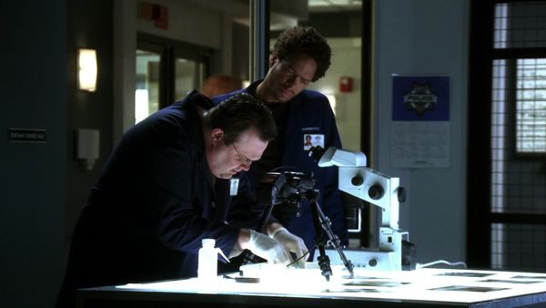 CSI en español - XX