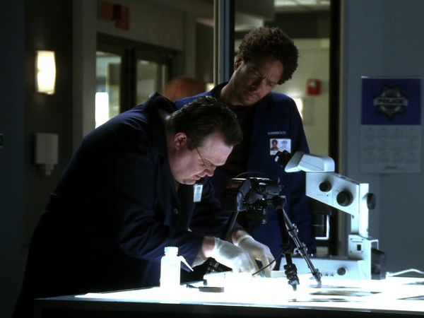 CSI en español - XX