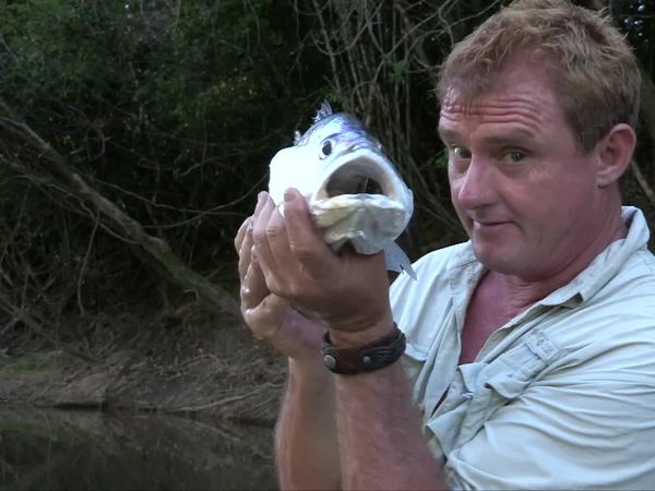 Fishing Expedition Amazonia - Episode 6
