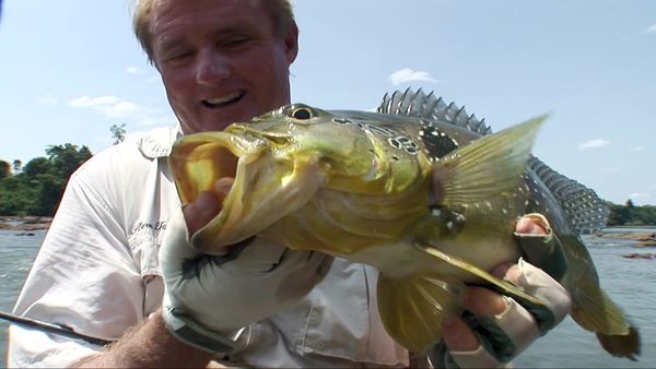 Fishing Expedition Amazonia - Episode 2