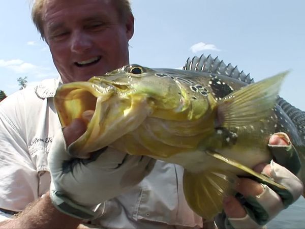 Fishing Expedition Amazonia - Episode 2